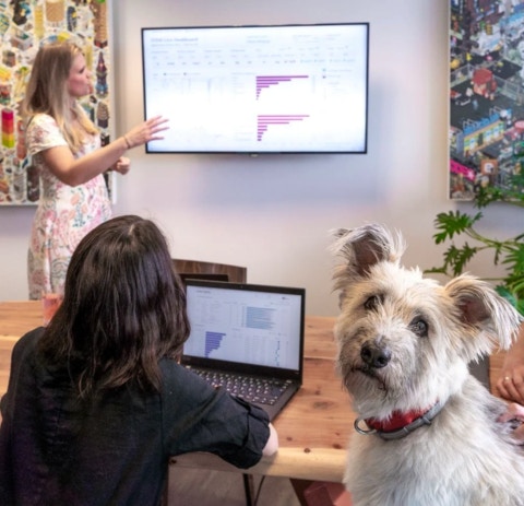 Just a day in the office