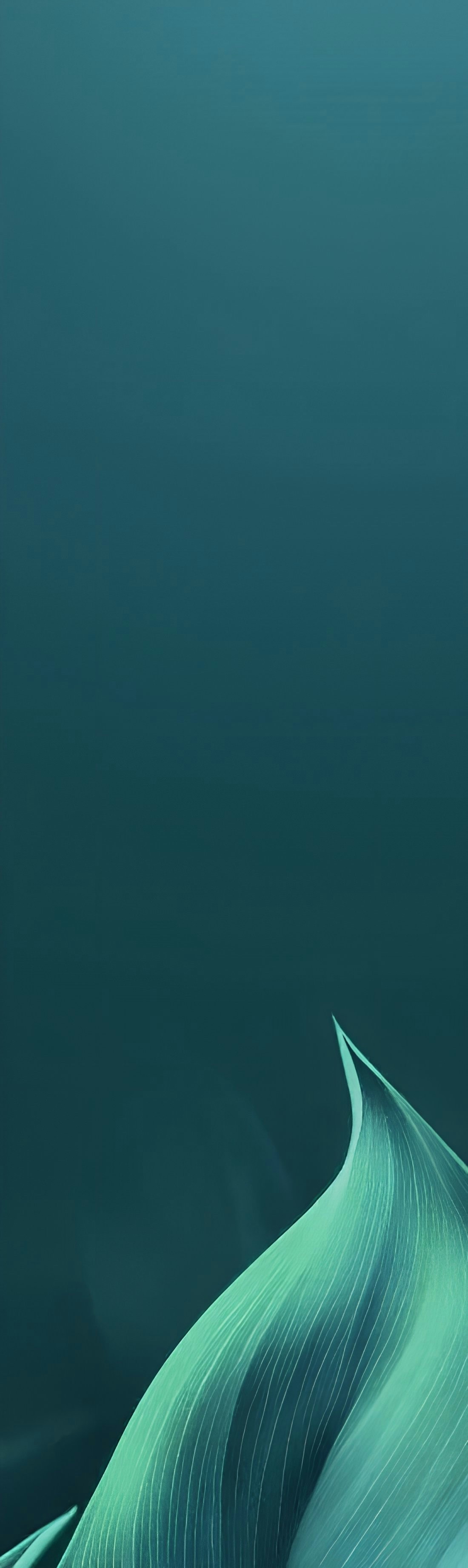 Corporate Social Responsibility (CSR)