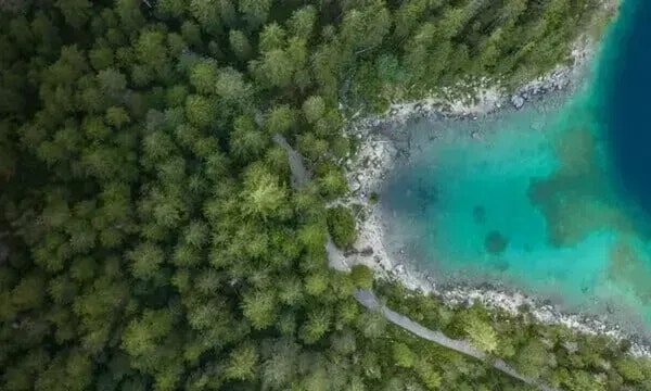 Empowering nature&rsquo;s guardians &ndash; The Habitats Trust