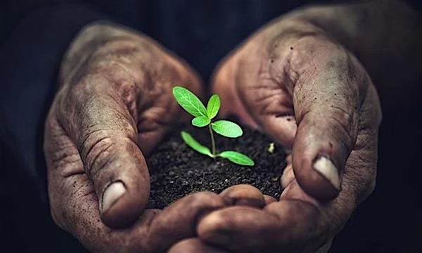 Advance to net zero with intelligent operations