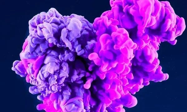 Cloud Evolution: Make innovation a habit