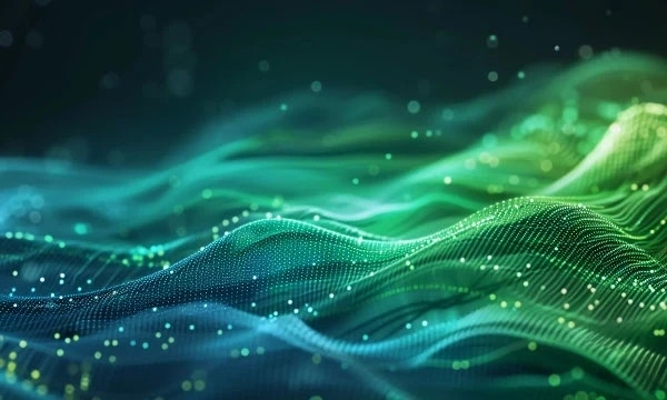 Navigating the green frontier: The rise of network sustainability